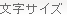 文字サイズ